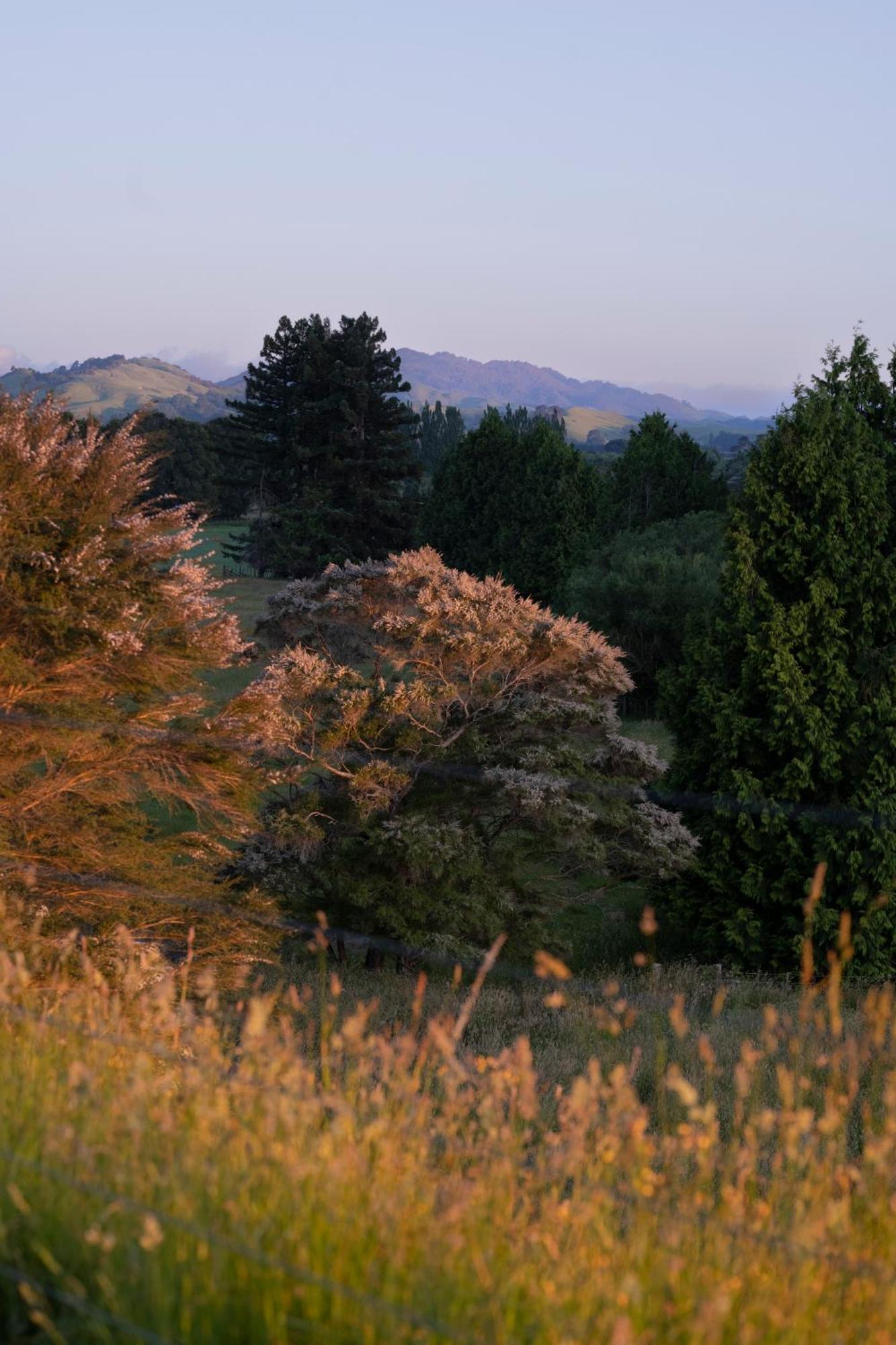 Vila Ranginui Retreat Masterton Exteriér fotografie